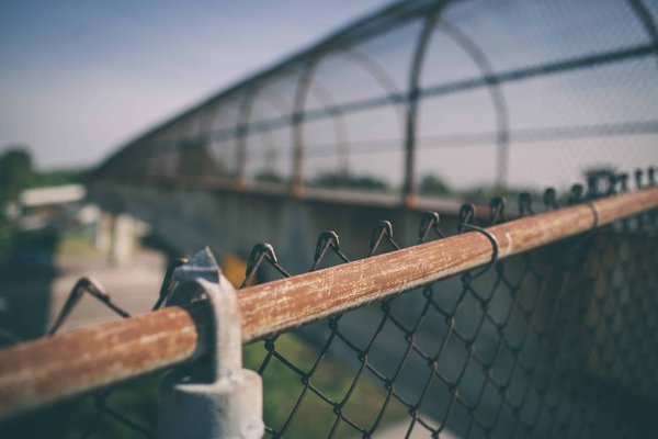 Comment cultiver un jardin urbain ?